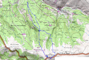ign